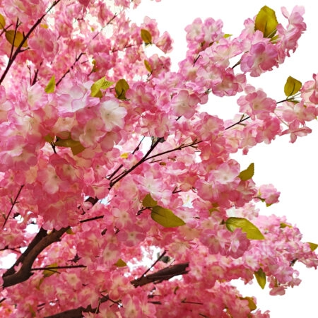 CHERRY PRUNUS BLOSSOM TREE 20164 Τεχνητό Διακοσμητικό Δέντρο Άνθος Κερασιάς Προύμνη Υ340cm - Τεχνητα Ανθισμένα Δεντρα Sticky 1