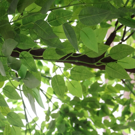 BANYAN FICUS TREE 20186 Τεχνητό Διακοσμητικό Δέντρο Ινδική Συκιά Φίκος Υ320cm - Τεχνητοι Φικοι Sticky 1