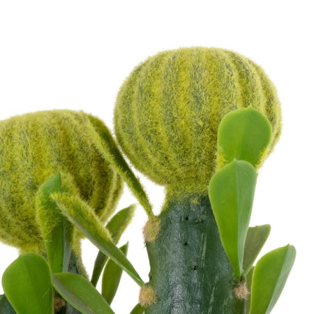 CEREUS JAMACARU CACTUS 20192 Τεχνητό Διακοσμητικό Φυτό Κάκτος Κηρίος Υ80cm - Τεχνητοι Κακτοι Sticky 1