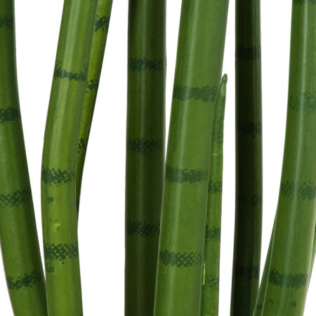 SANSEVIERIA CYLINDRICA 20210 Τεχνητό Διακοσμητικό Φυτό Σανσεβιέρια Υ120cm - Τεχνητοι Κακτοι Sticky 2