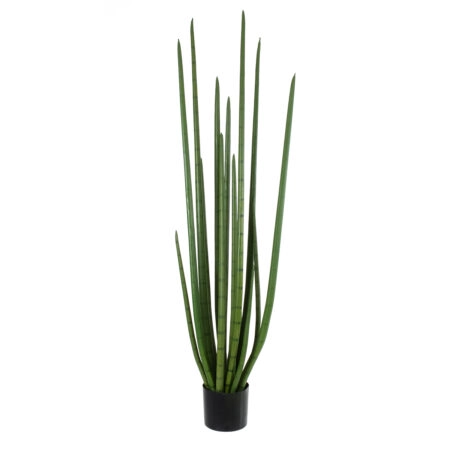 SANSEVIERIA CYLINDRICA 20211 Τεχνητό Διακοσμητικό Φυτό Σανσεβιέρια Υ160cm - Τεχνητοι Κακτοι