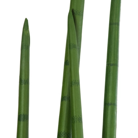 SANSEVIERIA CYLINDRICA 20211 Τεχνητό Διακοσμητικό Φυτό Σανσεβιέρια Υ160cm - Τεχνητοι Κακτοι Sticky 1