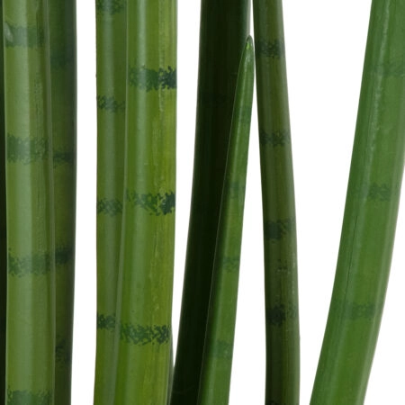 SANSEVIERIA CYLINDRICA 20211 Τεχνητό Διακοσμητικό Φυτό Σανσεβιέρια Υ160cm - Τεχνητοι Κακτοι Sticky 2