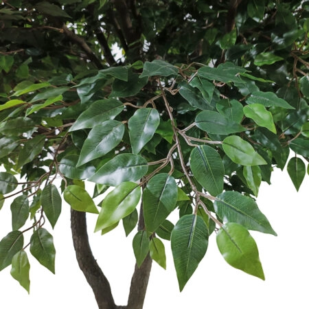 BANYAN FICUS TREE 20361 Τεχνητό Διακοσμητικό Δέντρο Ινδική Συκιά Φίκος Υ300cm - Τεχνητοι Φικοι Sticky 1