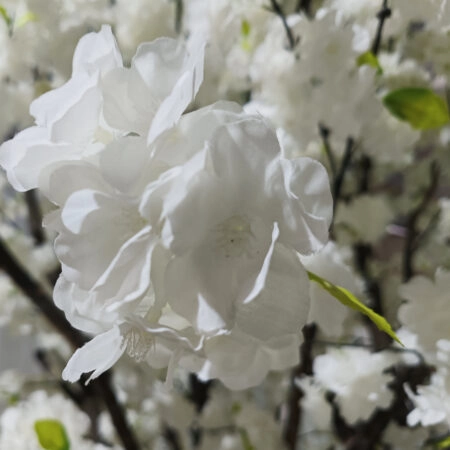 BIANCA CHERRY BLOSSOM TREE 20362 Τεχνητό Διακοσμητικό Δέντρο Λευκό Άνθος Κερασιάς Υ350cm - Τεχνητα Ανθισμένα Δεντρα Sticky 1