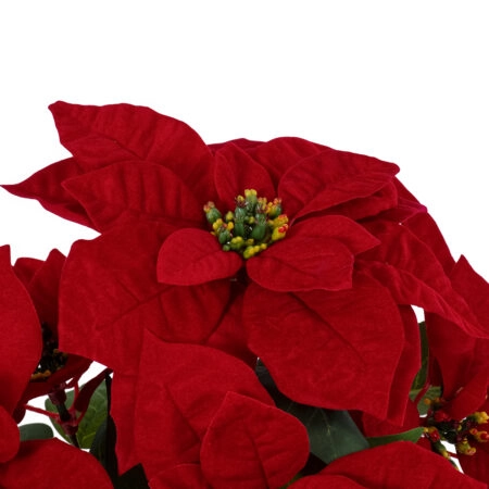 CHRISTMAS FLOWER EUPHORBIA 20365 Τεχνητό Διακοσμητικό Χριστουγεννιάτικο Λουλούδι Αλεξανδρινό Υ49cm - Τεχνητα Ανθισμένα Δεντρα Sticky 1