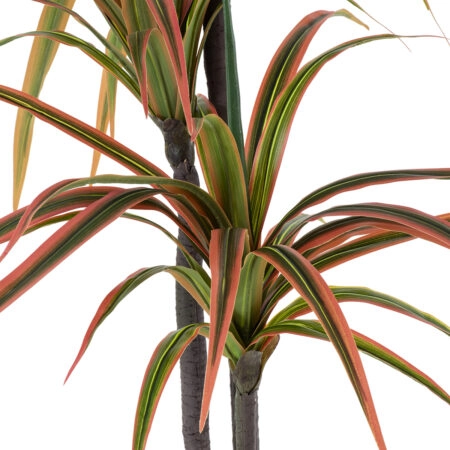 DRAGON BLOOD TREE 20370 - Τεχνητό Διακοσμητικό Φυτό Δράκαινα Υ150cm - Τεχνητες Δρακαινες και Γιουκα Sticky 1