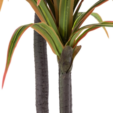 DRAGON BLOOD TREE 20372 - Τεχνητό Διακοσμητικό Φυτό Δράκαινα Υ180cm - Τεχνητες Δρακαινες και Γιουκα Sticky 2