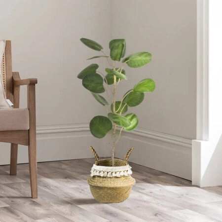 POLYSCIAS BALFOURIANA TREE 20373 Τεχνητό Διακοσμητικό Φυτό Πολυσκιά Υ70cm - Τροπικα και Ιδιαιτερα Τεχνητα φυτα Sticky 4