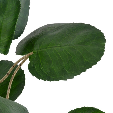 POLYSCIAS BALFOURIANA TREE 20373 Τεχνητό Διακοσμητικό Φυτό Πολυσκιά Υ70cm - Τροπικα και Ιδιαιτερα Τεχνητα φυτα Sticky 1