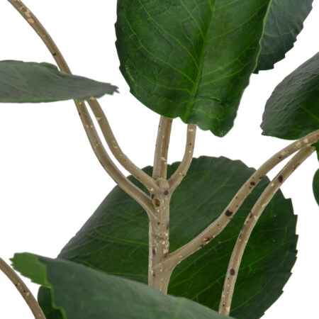 POLYSCIAS BALFOURIANA TREE 20373 Τεχνητό Διακοσμητικό Φυτό Πολυσκιά Υ70cm - Τροπικα και Ιδιαιτερα Τεχνητα φυτα Sticky 2