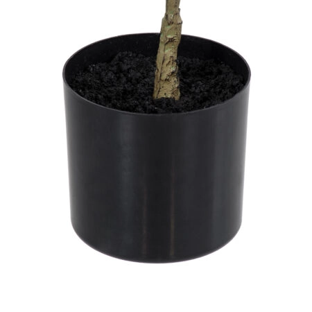 POLYSCIAS BALFOURIANA TREE 20373 Τεχνητό Διακοσμητικό Φυτό Πολυσκιά Υ70cm - Τροπικα και Ιδιαιτερα Τεχνητα φυτα Sticky 3