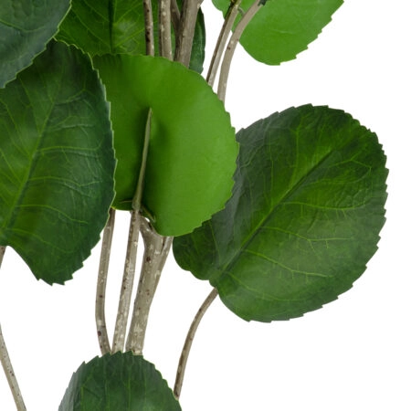 POLYSCIAS BALFOURIANA TREE 20374 Τεχνητό Διακοσμητικό Φυτό Πολυσκιά Υ110cm - Τροπικα και Ιδιαιτερα Τεχνητα φυτα Sticky 1