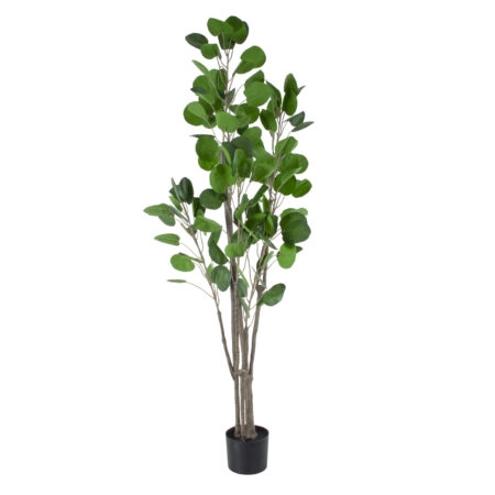 POLYSCIAS BALFOURIANA TREE 20375 Τεχνητό Διακοσμητικό Φυτό Πολυσκιά Υ180cm - Τροπικα και Ιδιαιτερα Τεχνητα φυτα