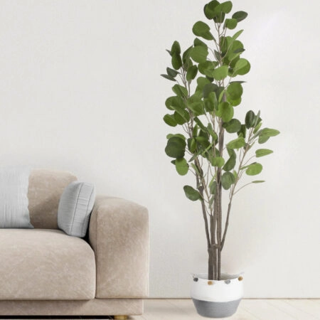 POLYSCIAS BALFOURIANA TREE 20375 Τεχνητό Διακοσμητικό Φυτό Πολυσκιά Υ180cm - Τροπικα και Ιδιαιτερα Τεχνητα φυτα Sticky 4
