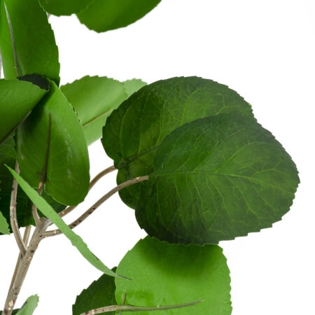 POLYSCIAS BALFOURIANA TREE 20375 Τεχνητό Διακοσμητικό Φυτό Πολυσκιά Υ180cm - Τροπικα και Ιδιαιτερα Τεχνητα φυτα Sticky 1