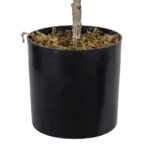 FIG TREE 20380 Τεχνητό Διακοσμητικό Φυτό Συκιά Υ50cm