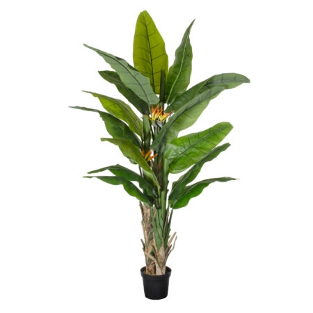 BANANA STRELITZIA REGINAE 20381 - Τεχνητό Διακοσμητικό Φυτό  Μπανανιά - Στρελίτσια - Πουλί του Παραδείσου Υ230cm