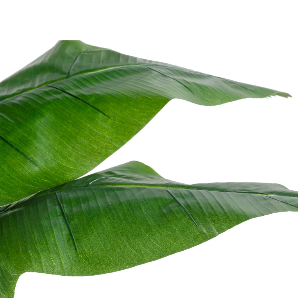 BANANA STRELITZIA REGINAE 20381 - Τεχνητό Διακοσμητικό Φυτό  Μπανανιά - Στρελίτσια - Πουλί του Παραδείσου Υ230cm