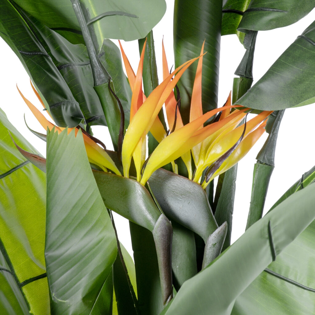 BANANA STRELITZIA REGINAE 20381 - Τεχνητό Διακοσμητικό Φυτό  Μπανανιά - Στρελίτσια - Πουλί του Παραδείσου Υ230cm