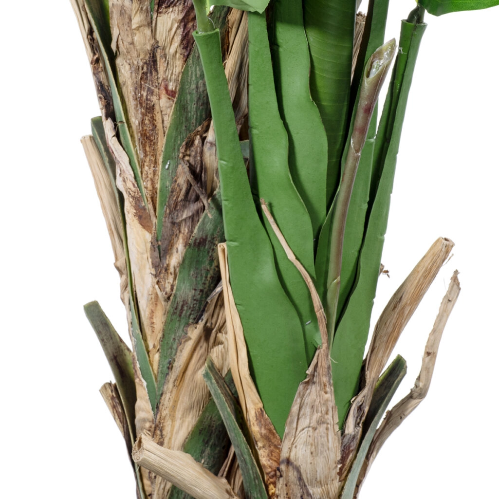 BANANA STRELITZIA REGINAE 20381 - Τεχνητό Διακοσμητικό Φυτό  Μπανανιά - Στρελίτσια - Πουλί του Παραδείσου Υ230cm