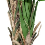 BANANA STRELITZIA REGINAE 20381 - Τεχνητό Διακοσμητικό Φυτό  Μπανανιά - Στρελίτσια - Πουλί του Παραδείσου Υ230cm
