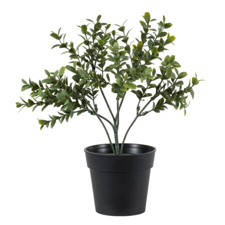 BUXUS 20388 Τεχνητό Διακοσμητικό Φυτό Πυξός Υ30cm - 