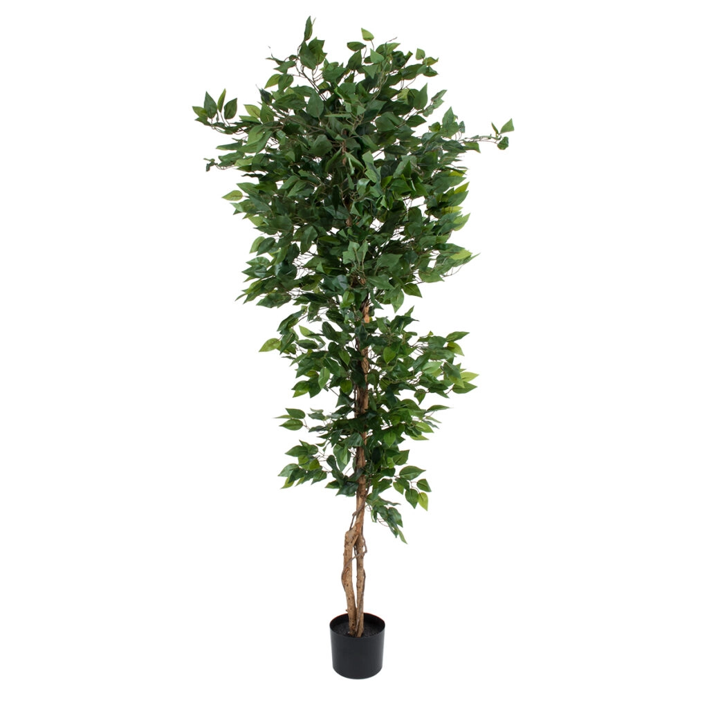 FICUS BENJAMINA TREE 20416 Τεχνητό Διακοσμητικό Φυτό Φίκος Μπενζαμίνη Υ180cm