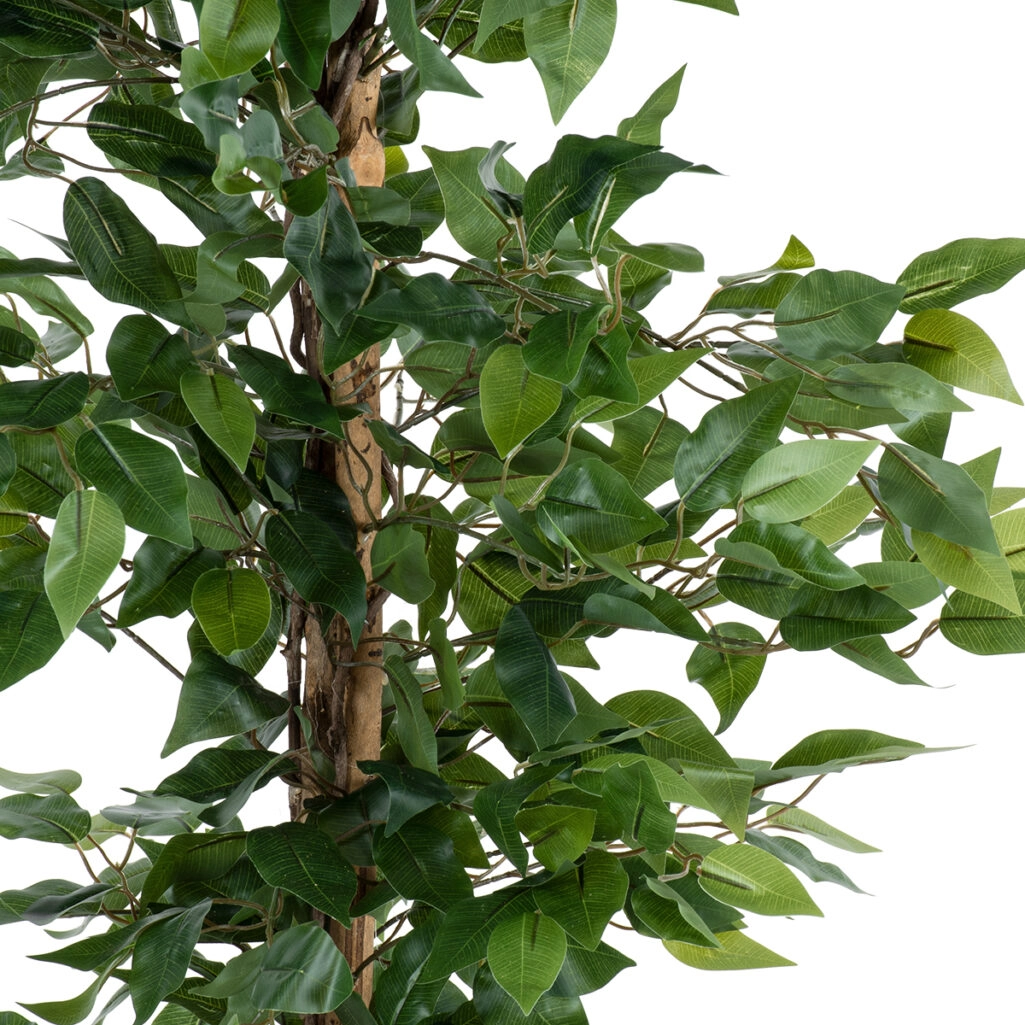 FICUS BENJAMINA TREE 20416 Τεχνητό Διακοσμητικό Φυτό Φίκος Μπενζαμίνη Υ180cm
