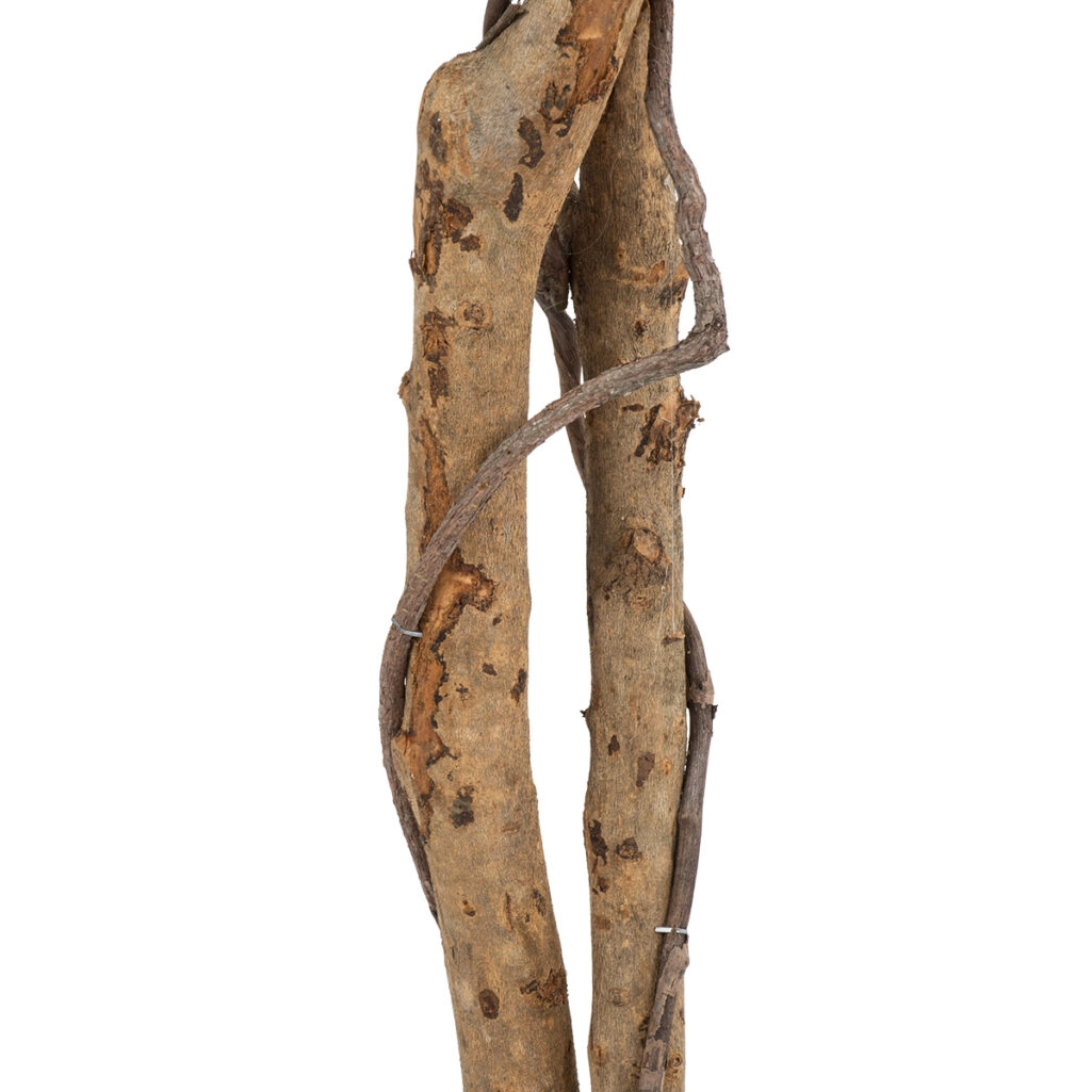 FICUS BENJAMINA TREE 20416 Τεχνητό Διακοσμητικό Φυτό Φίκος Μπενζαμίνη Υ180cm