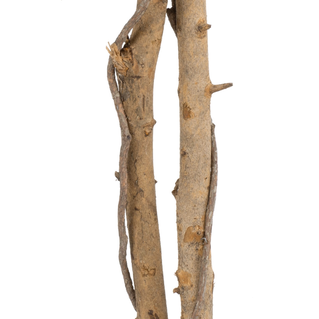 FICUS BENJAMINA TREE 20417 Τεχνητό Διακοσμητικό Φυτό Φίκος Μπενζαμίνη Υ210cm