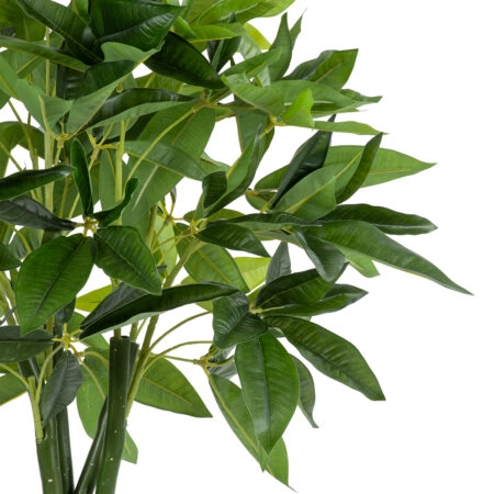 PACHIRA GLABRA 20426 Τεχνητό Διακοσμητικό Φυτό Παχίρα της Τύχης Υ120cm - Τροπικα και Ιδιαιτερα Τεχνητα φυτα Sticky 1