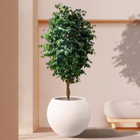 FICUS BENJAMINA TREE 20432 Τεχνητό Διακοσμητικό Φυτό Φίκος Μπενζαμίνη Υ300cm - Τεχνητοι Φικοι Sticky 3