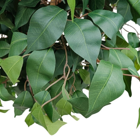 FICUS BENJAMINA TREE 20432 Τεχνητό Διακοσμητικό Φυτό Φίκος Μπενζαμίνη Υ300cm - Τεχνητοι Φικοι Sticky 1