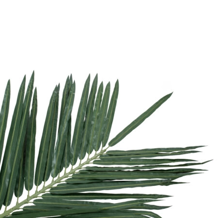 COCONUT PALM TREE 20435 Τεχνητό Διακοσμητικό Φοινικόδεντρο Κοκοφοίνικας Υ400cm - Τεχνητοι Φοινικες Sticky 1