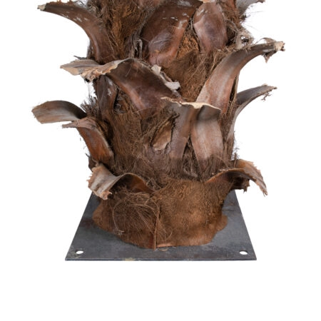 COCONUT PALM TREE 20435 Τεχνητό Διακοσμητικό Φοινικόδεντρο Κοκοφοίνικας Υ400cm - Τεχνητοι Φοινικες Sticky 3