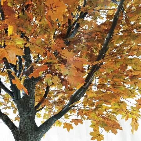 ACER RUBRUM SYCAMORE TREE 20437 Τεχνητό Διακοσμητικό Δέντρο Κόκκινος Σφένδαμος Υ400cm - Τεχνητα Ανθισμένα Δεντρα Sticky 1
