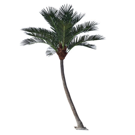 CURVED COCONUT PALM TREE 20443 Τεχνητό Διακοσμητικό Κυρτό Φοινικόδεντρο Κοκοφοίνικας Εξωτερικού Χώρου IP68 UV Certified Protection Υ400cm - Τεχνητοι Φοινικες