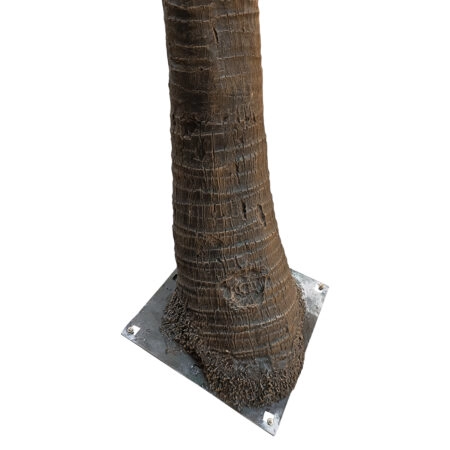 COCONUT PALM TREE 20595 Τεχνητό Διακοσμητικό Φοινικόδεντρο Κοκοφοίνικας Υ600cm - Τεχνητοι Φοινικες Sticky 1
