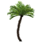 PHOENIX ROEBELENII PALM TREE 20597 Τεχνητό Διακοσμητικό Φυτό Φοινικόδεντρο Ρομπελίνι Εξωτερικού Χώρου IP68 UV Certified Protection Υ600cm