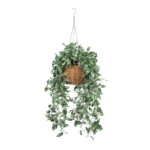 GOLDEN BELL WILLOW HANGING PLANT 20627 Τεχνητό Κρεμαστό Διακοσμητικό Φυτό Ιτίας  Y80cm