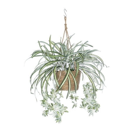 CHLOROPHYTUM COMOSUM HANGING PLANT 20638 Τεχνητό Κρεμαστό Διακοσμητικό Χλωρόφυτο  Y50cm - Πρασινάδες - Κρεμαστά φυτά Sticky 1