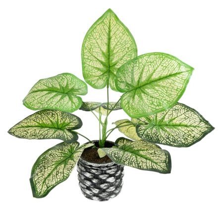 CALADIUM 20889 Τεχνητό Διακοσμητικό Φυτό Τροπικό Καλάδιο Φ40 x Υ33cm