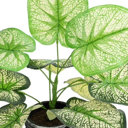 CALADIUM 20889 Τεχνητό Διακοσμητικό Φυτό Τροπικό Καλάδιο Φ40 x Υ33cm - Τροπικα και Ιδιαιτερα Τεχνητα φυτα Sticky 1