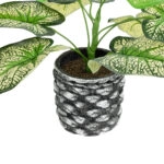 CALADIUM 20889 Τεχνητό Διακοσμητικό Φυτό Τροπικό Καλάδιο Φ40 x Υ33cm