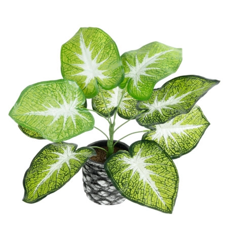 CALADIUM 20890 Τεχνητό Διακοσμητικό Φυτό Τροπικό Φυτό  Φ40 x Υ33cm