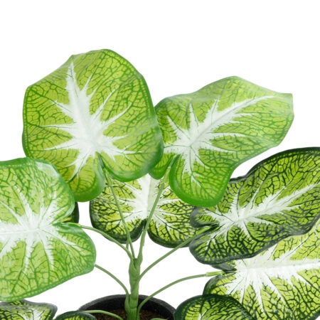 CALADIUM 20890 Τεχνητό Διακοσμητικό Φυτό Τροπικό Φυτό  Φ40 x Υ33cm - Τροπικα και Ιδιαιτερα Τεχνητα φυτα Sticky 1