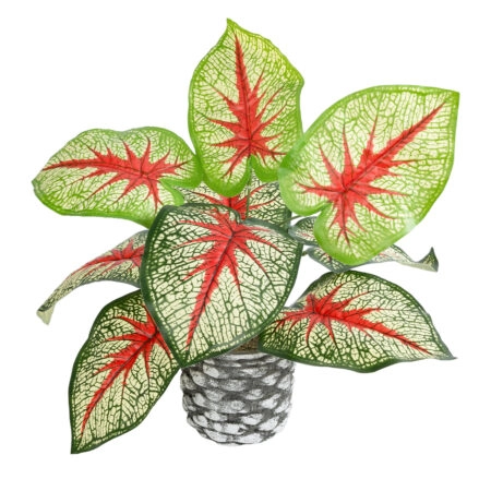 CALADIUM 20891 Τεχνητό Διακοσμητικό Φυτό Τροπικό Φυτό Καλάδιο Φ40 x Υ33cm