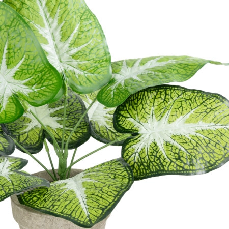 CALADIUM POTTED PLANT 20894 Διακοσμητικό Φυτό Καλάντιουμ Φ40 x Υ33cm - Τροπικα και Ιδιαιτερα Τεχνητα φυτα Sticky 1
