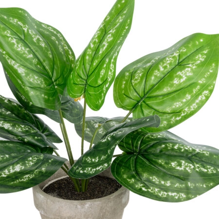 SILVER POTHOS POTTED PLANT 20896 Διακοσμητικό Φυτό Πόθος Φ40 x Υ33cm - Τροπικα και Ιδιαιτερα Τεχνητα φυτα Sticky 1